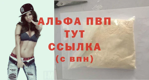 молекула духа Осинники