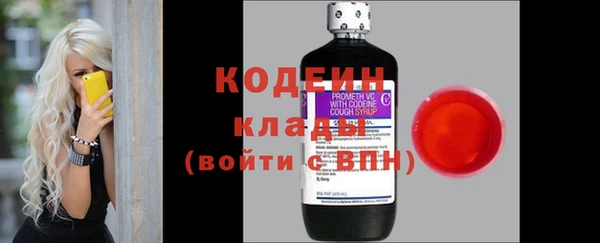 молекула духа Осинники