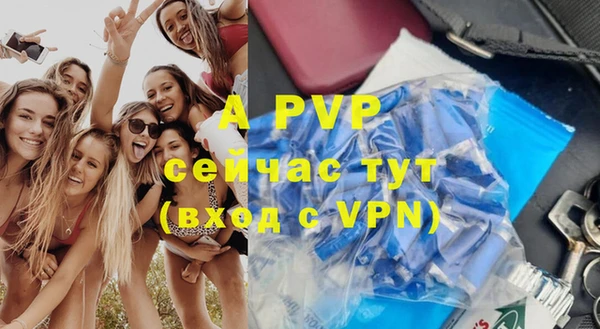 молекула духа Осинники