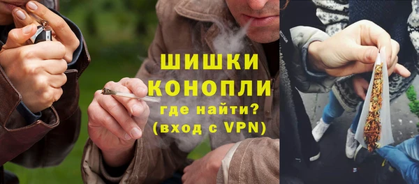 молекула духа Осинники